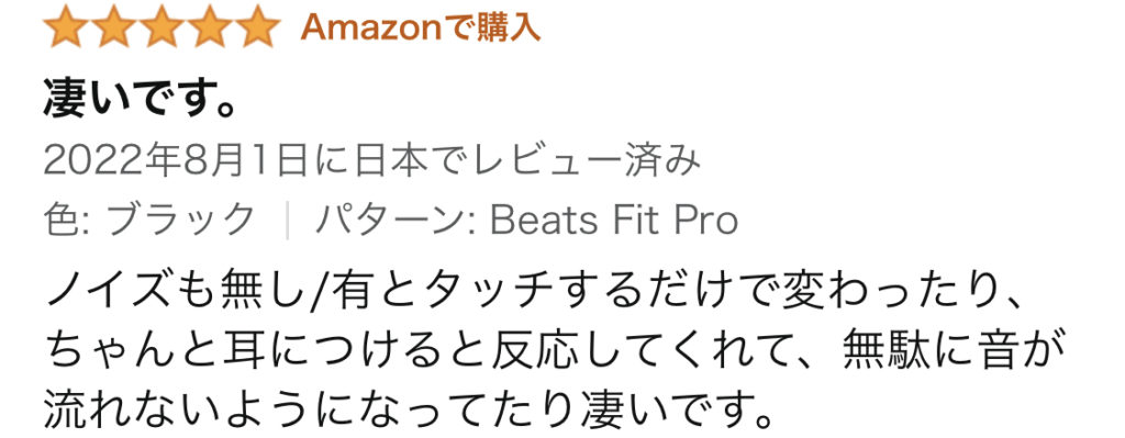 おすすめしないBluetoothイヤホン　Beats by Dr. Dre　Beats Fit Pro